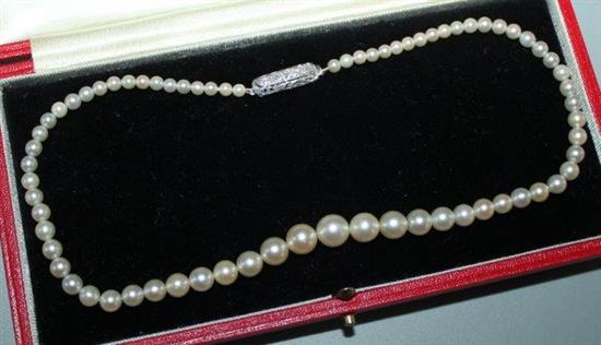 Diamond clasp, cultered pearl necklace in a Cartier box